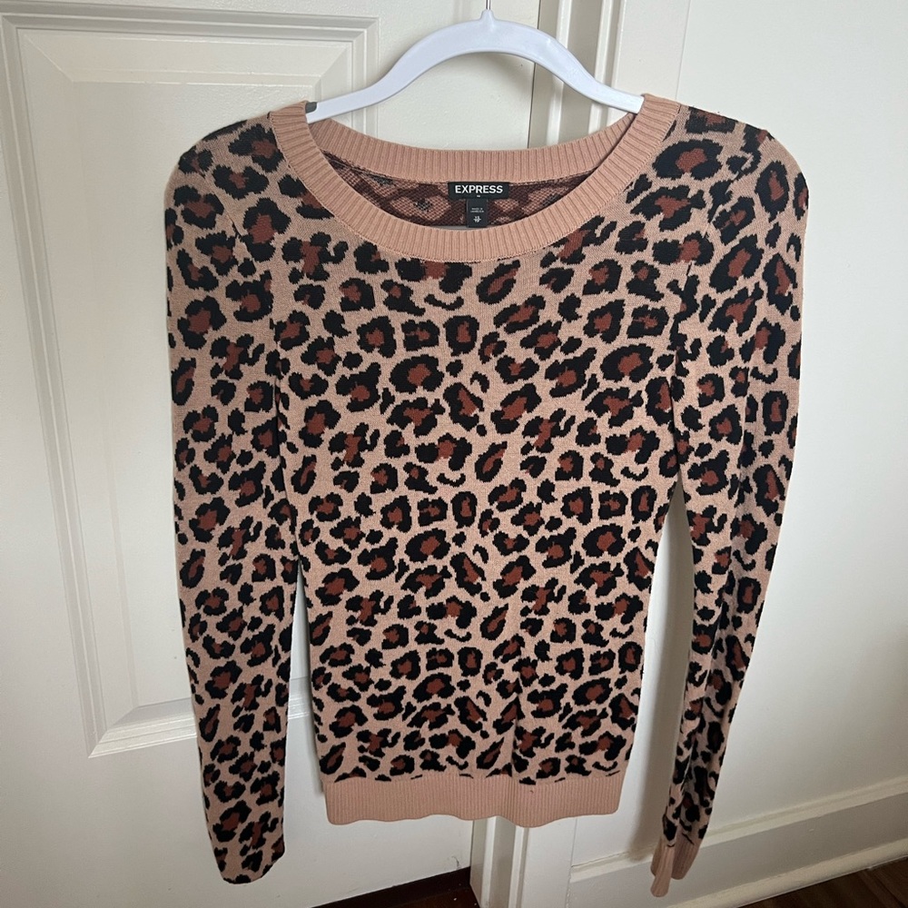 Express Crew Neck Sweater
